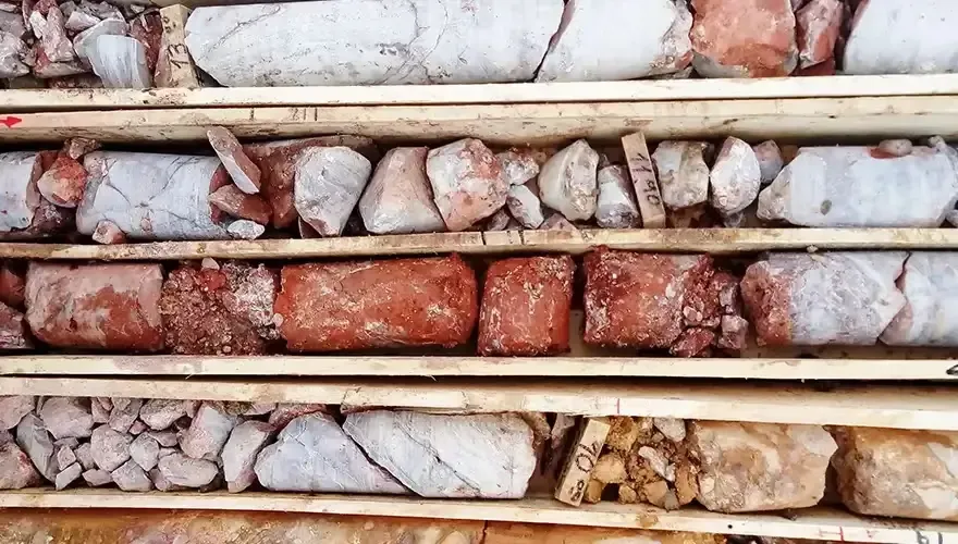 Illustrative image for the news: Patagonia Gold: Update on Construction of Calcatreu Project | Panorama Minero