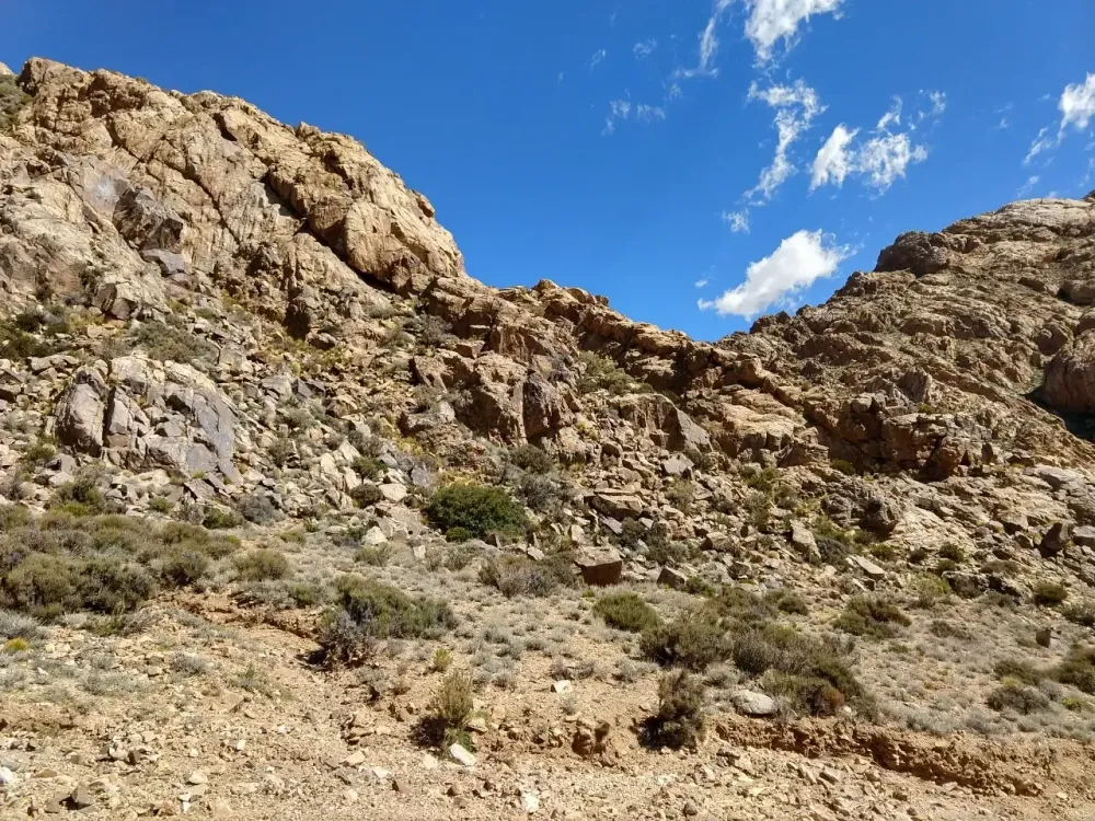 Illustrative image for the news: NewPeak: Objective to begin drilling campaign at Las Opeñas in 2026 | Panorama Minero