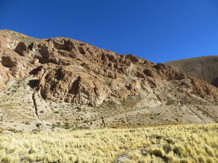 Illustrative image for the news: Latin Metals Secures Drill Permit for Organullo Project | Panorama Minero