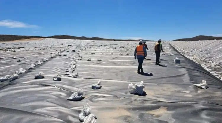 Illustrative image for the news: Leaching Underway: Calcatreu Prepares First Irrigation and Accelerates Its Transition toward Production | Panorama Minero