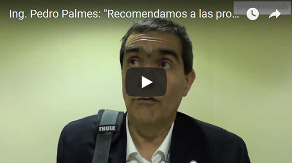 VIDEO | Ing. Pedro Palmes: «Recomendamos a las provincias el FOFESO»