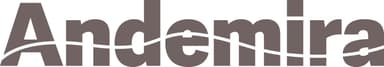 ANDEMIRA S.A. Logo