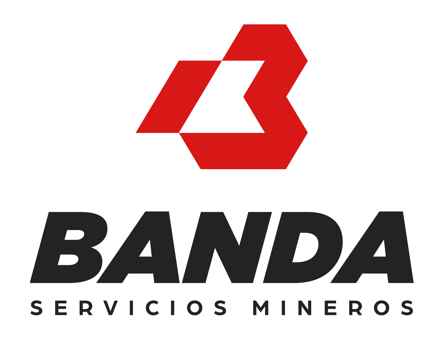 BANDA SERVICIOS MINEROS logo