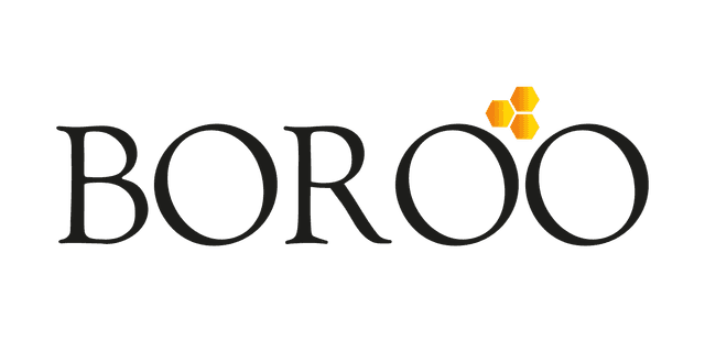 BOROO logo