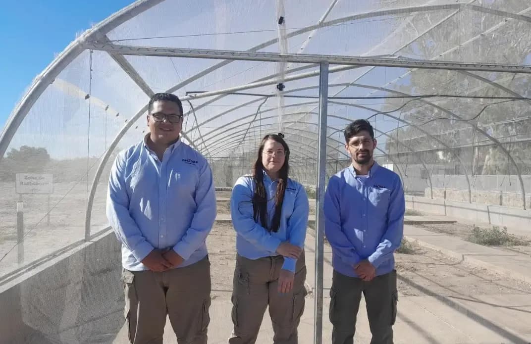 Grupo Calidra Announces Native Flora Restoration Project in San Juan