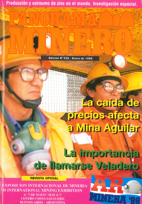 Edición 232 - Enero 1999