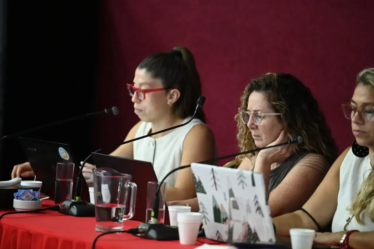 Audiencias públicas y control técnico: cómo avanzan los proyectos de sales en Mendoza