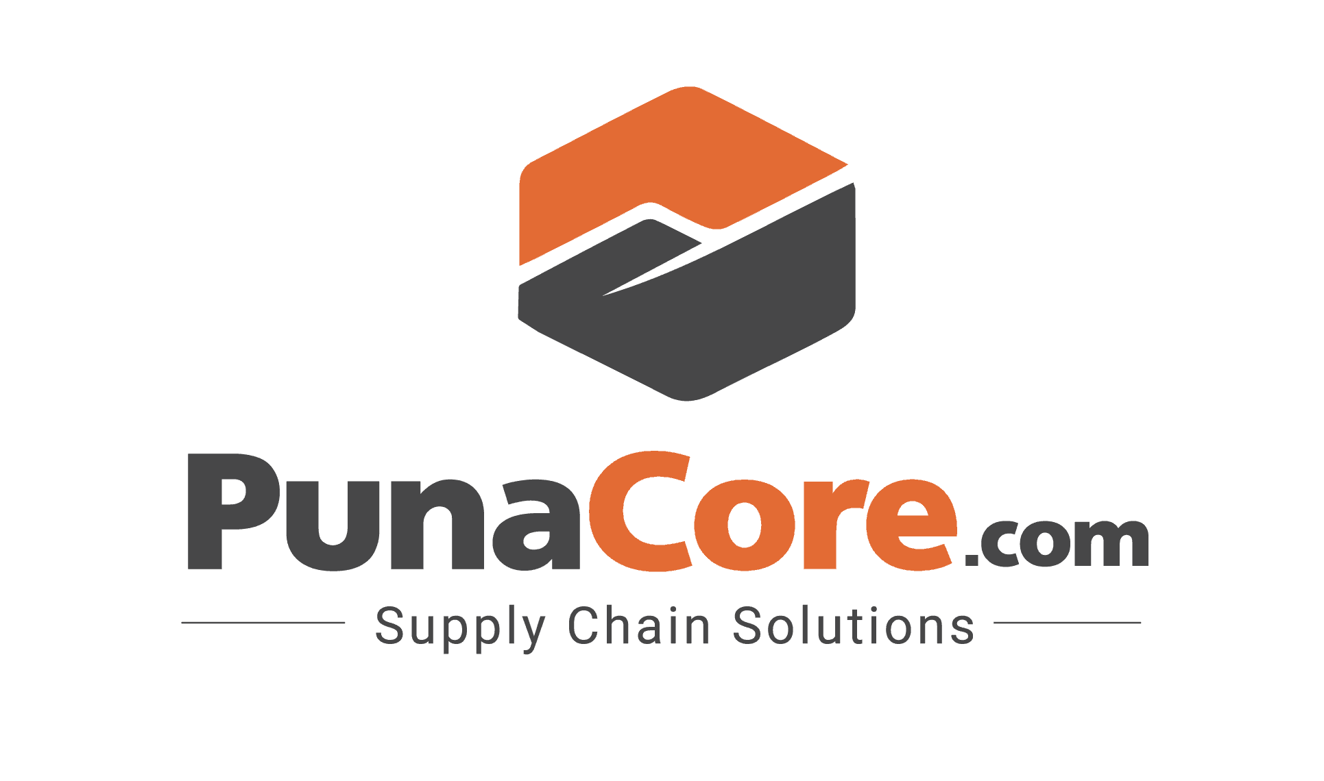 PUNA CORE logo