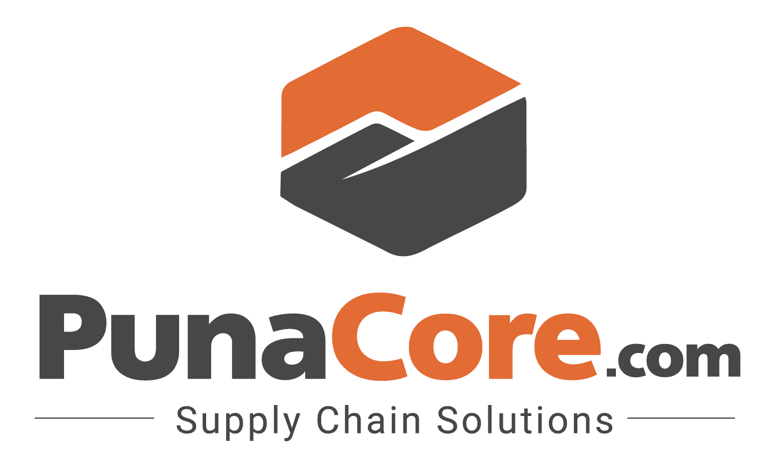 PUNA CORE logo