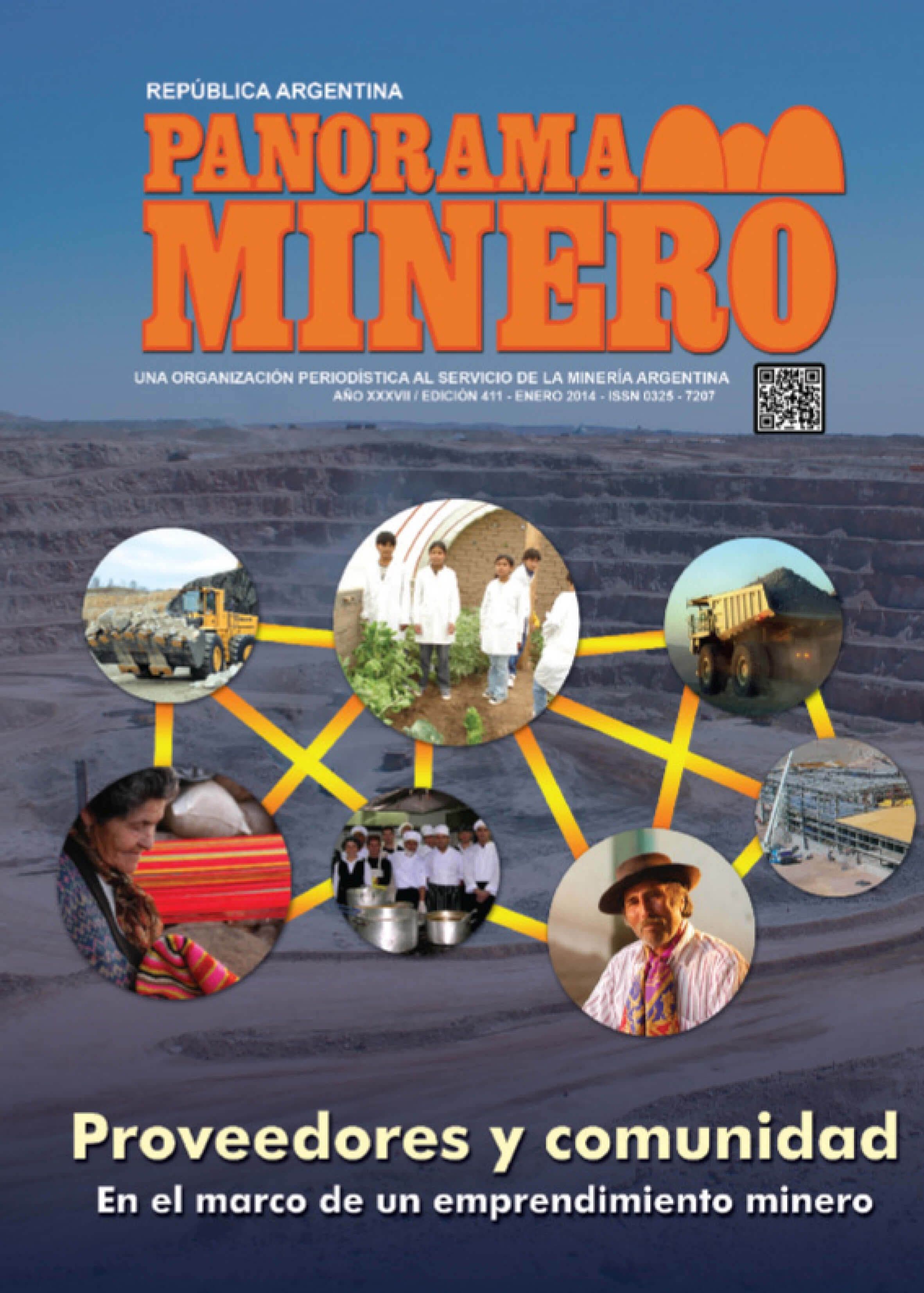Edición 411 - Enero 2014