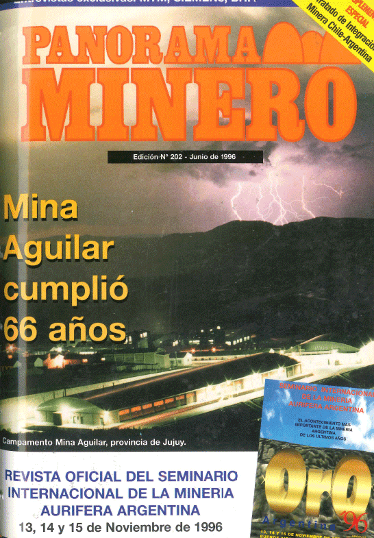 Edición 202 - Junio 1996