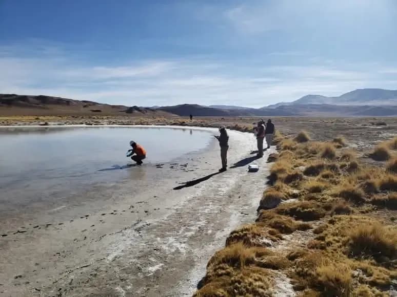 Expectativas para el litio: Catamarca, a un paso de levantar la cautelar que paralizó nuevos proyectos