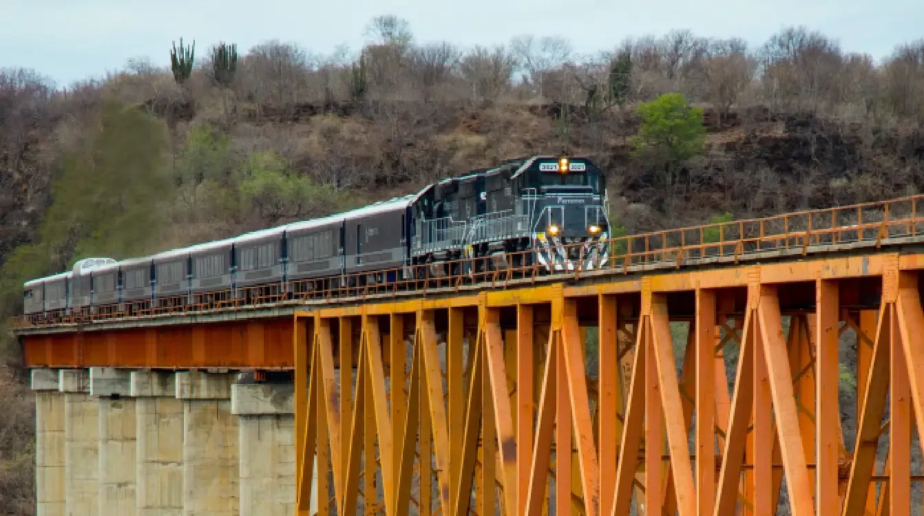 Grupo México, minería y transporte en una sola empresa