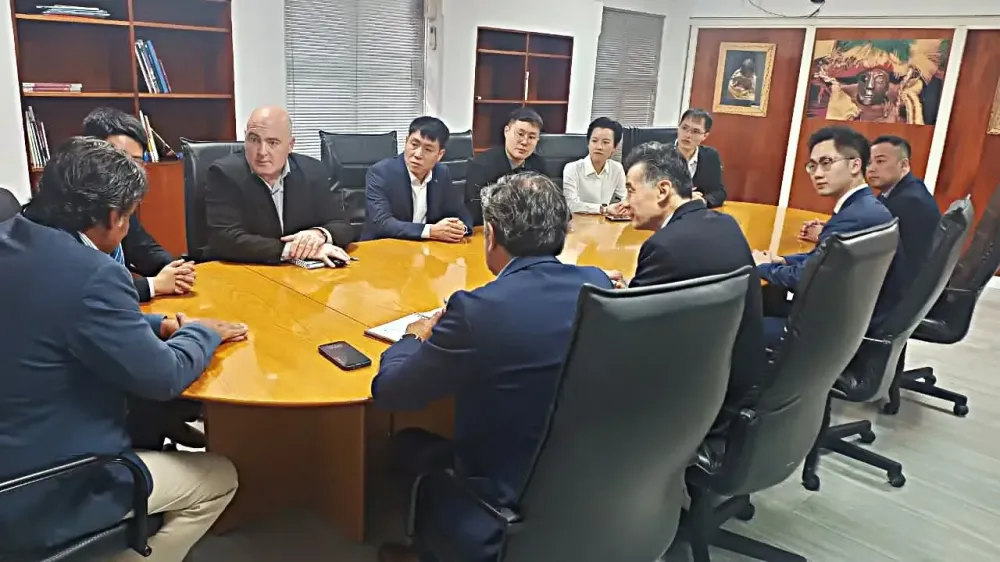 Illustrative image for the news: Chinese Lithium Producer Jiuling Evaluates Investment Opportunities in Salta, Argentina | Panorama Minero