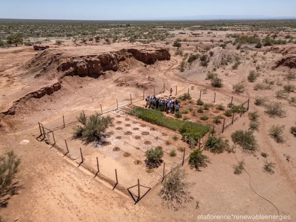 Illustrative image for the news: Phytoremediation with native Species: a scientific Response to a historical environmental Liability in Caucete | Panorama Minero