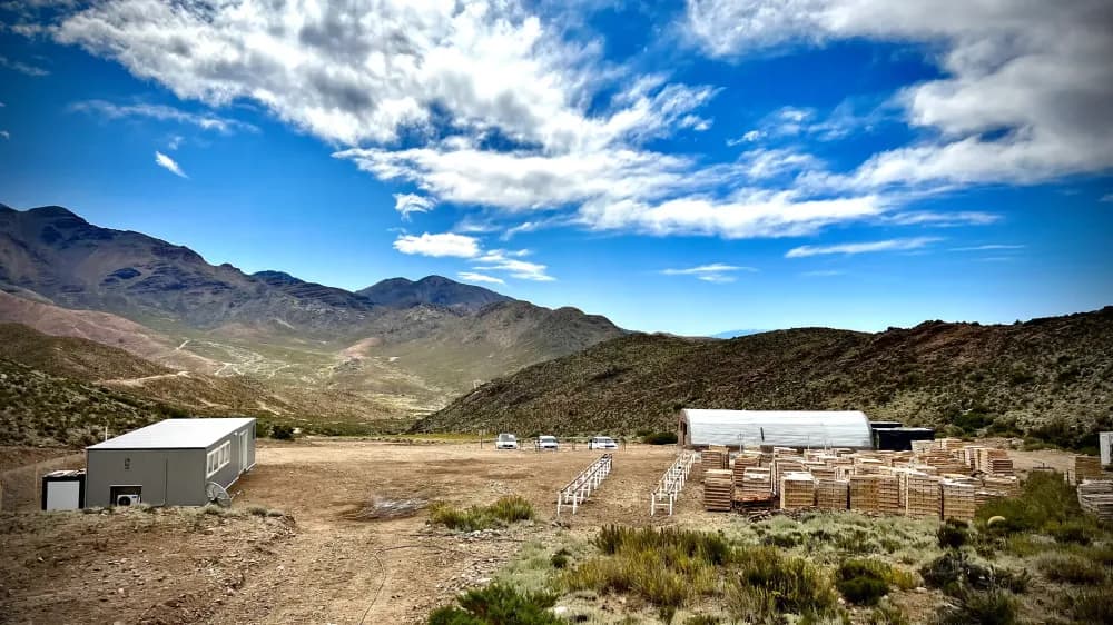Illustrative image for the news: San Juan: Minsud Receives Chita South Porphyry Drilling Results  | Panorama Minero