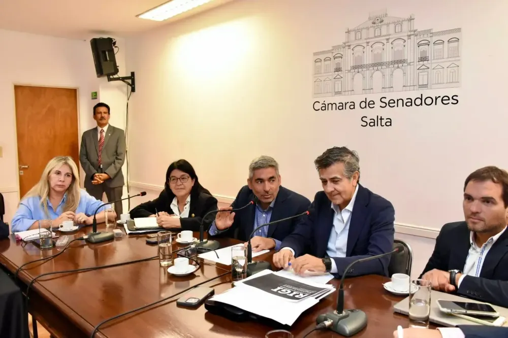 Imagen ilustrativa para la noticia: Salta acelera su agenda minera: más permisos, 35 proyectos de litio y foco en la exploración como política de Estado | Panorama Minero