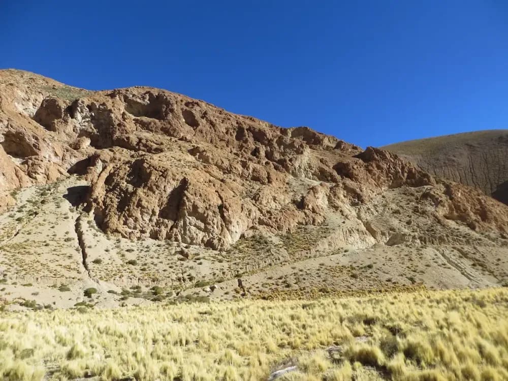 Illustrative image for the news: Latin Metals expands Organullo Gold Project | Panorama Minero