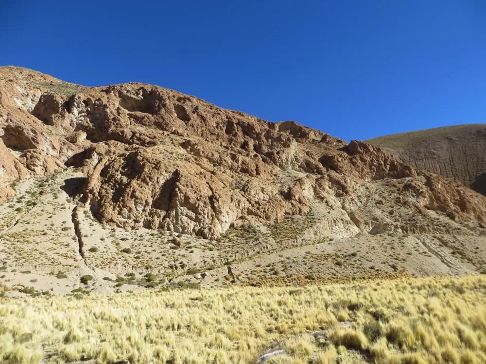 Illustrative image for the news: Latin Metals Secures Drill Permit for Organullo Project | Panorama Minero