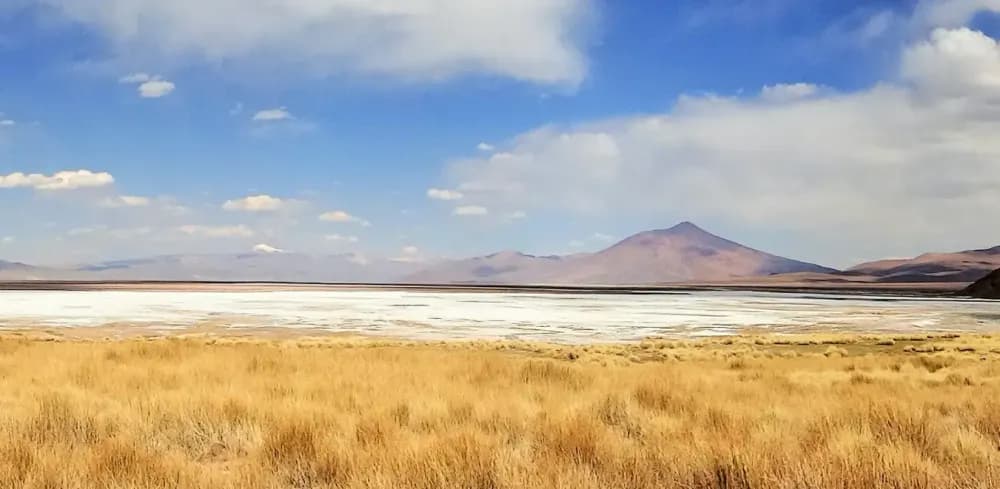Illustrative image for the news: Salta Moves Forward With Rio Tinto: Environmental Approval Granted for Rincón Lithium Project | Panorama Minero