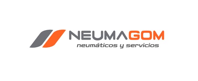 NEUMAGOM SAS logo