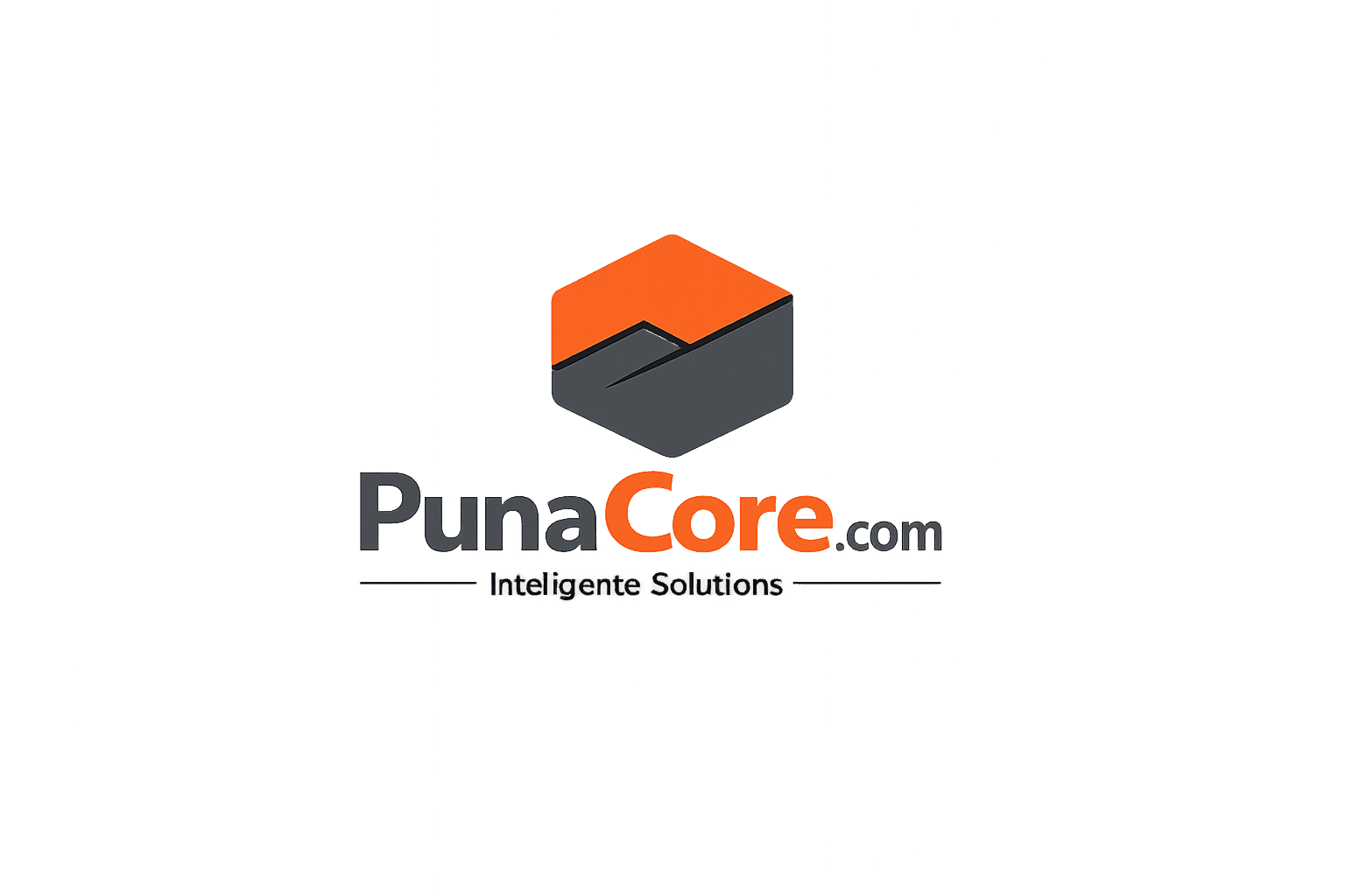 PUNA CORE logo