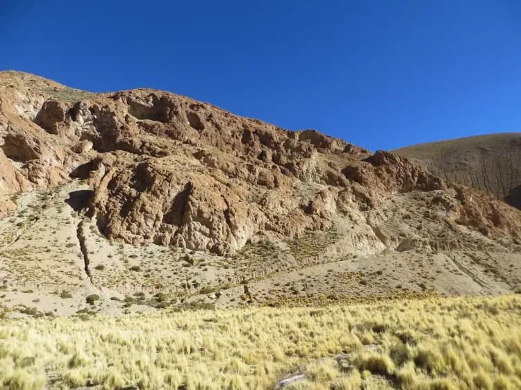 Illustrative image for the news: Latin Metals expands Organullo Gold Project | Panorama Minero