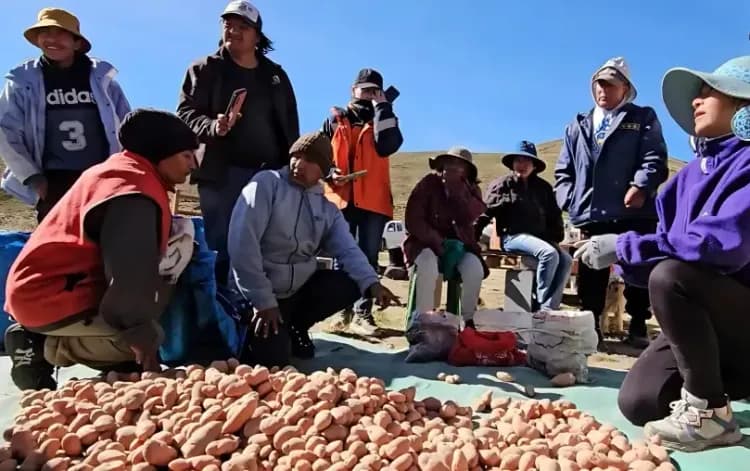 Illustrative image for the news: Andean Crops and Mining: A New Challenge for Indigenous Communities | Panorama Minero