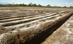 Illustrative image for the news: Argentina’s Non-Metallic Mining Sees Untapped Opportunity in Soil Remineralization Market