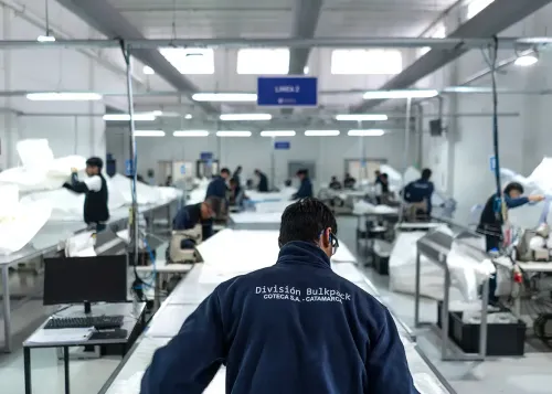 Illustrative image for the news: TN & PLATEX Produces Big Bags for Mining and Expands Operations in Catamarca | Panorama Minero