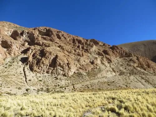 Illustrative image for the news: Latin Metals expands Organullo Gold Project | Panorama Minero