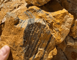 Imagen ilustrativa para la noticia: Piuquenes: Pampa Metals intersectó un segundo sistema de pórfido al este del proyecto