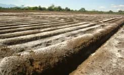 Illustrative image for the news: Argentina’s Non-Metallic Mining Sees Untapped Opportunity in Soil Remineralization Market | Panorama Minero