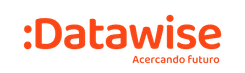 Logo de DATAWISE