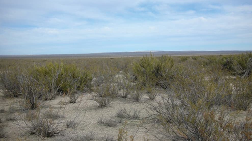 Imagen ilustrativa para la noticia: Amarillo Grande: Blue Sky Uranium lanza un programa integral de perforación y estudios de ingeniería | Panorama Minero