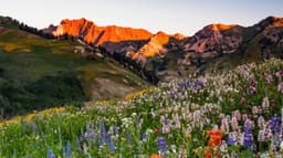 Imagen ilustrativa para la noticia: 66th Annual Rocky Mountain Mineral Law Institute
