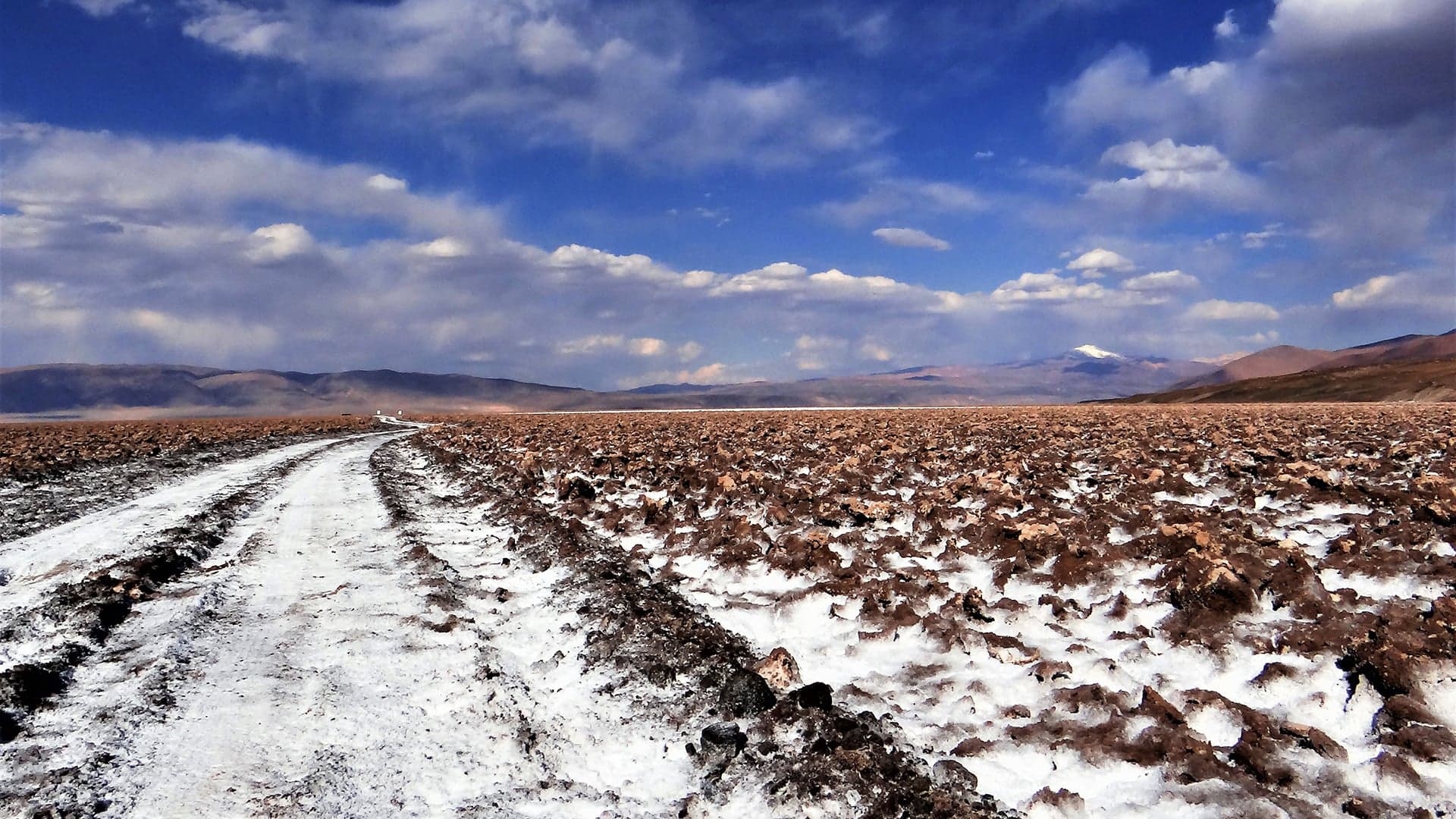 Imagen ilustrativa para la noticia: Rio Tinto y Ford se unen para asegurar la provisión de minerales estratégicos | Panorama Minero