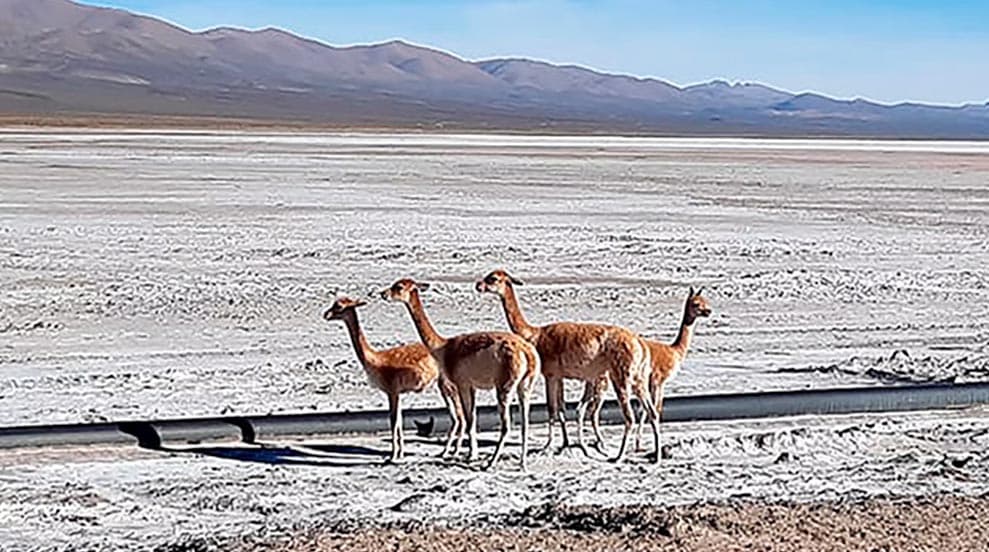 <strong>Sales de Jujuy lanza programa local de sustentabilidad</strong>