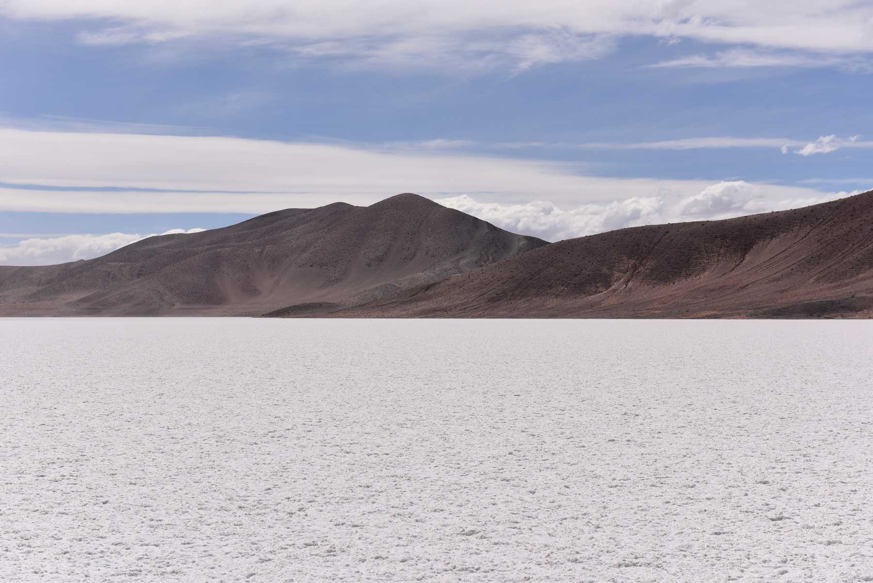 Salta: Alpha Lithium presentó mejora de la PEA del proyecto de litio Tolillar y analiza futuras alianzas
