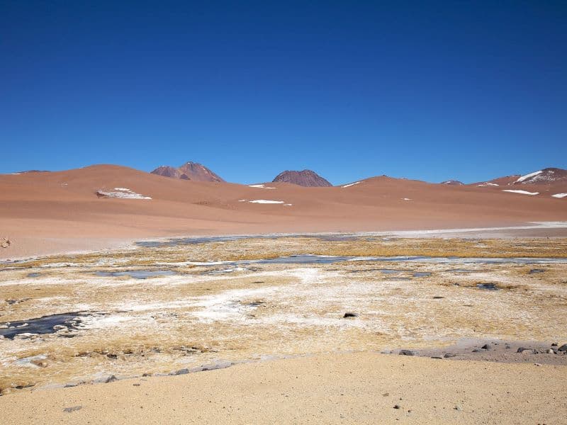 Entrevistas: Taca Taca, una de las grandes promesas cupríferas de Argentina