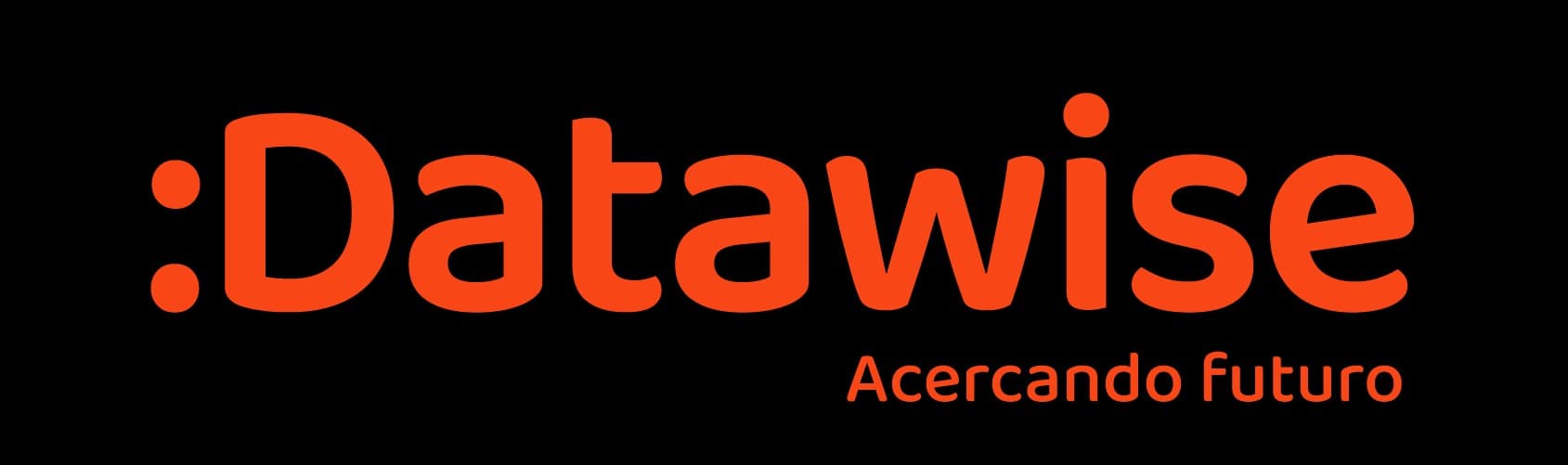DATAWISE logo