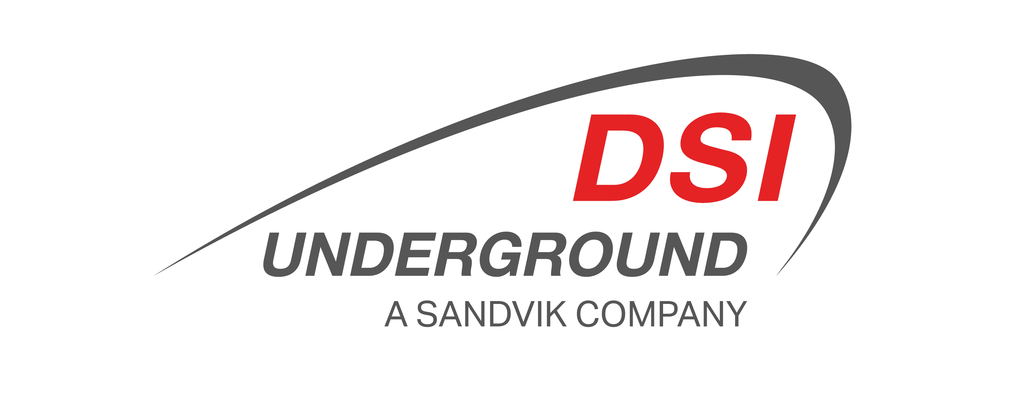 DSI UNDERGROUND ARGENTINA S.A logo