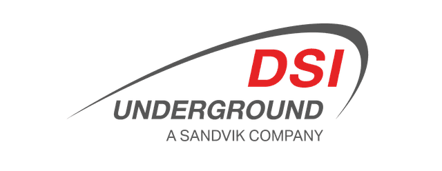 DSI UNDERGROUND ARGENTINA S.A logo