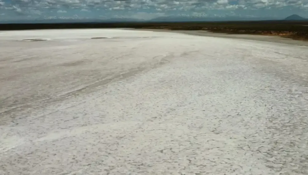 Illustrative image for the news: Don Luis Becomes the First Lithium Exploration Project to Receive Legislative Approval under Mendoza's Law 7,722 | Panorama Minero