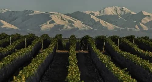 Imagen ilustrativa para la noticia: De la molienda al vino premium: Elecmetal y el modelo de grupos diversificados entre Chile y Mendoza | Panorama Minero