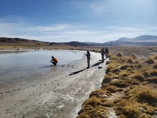 Illustrative image for the news: Expectations for Lithium: Catamarca One Step Away from Lifting an Injunction that Halted New Projects | Panorama Minero